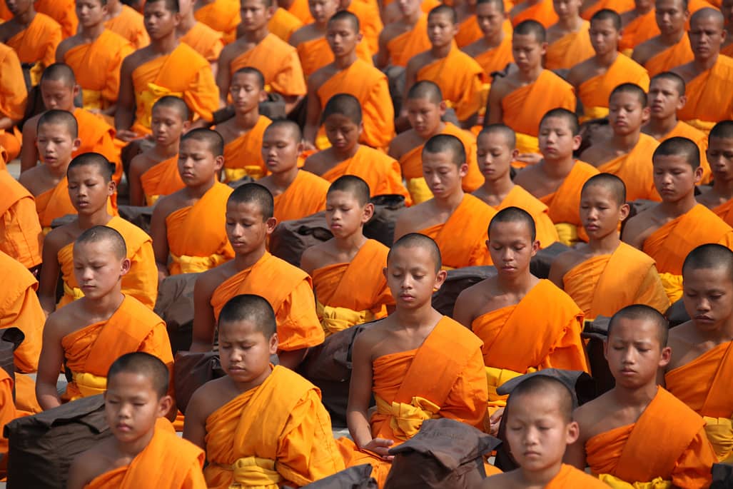 meditating buddhists