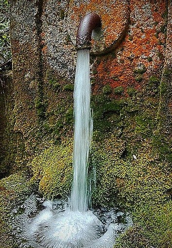 tap water from a fountain in the forest
