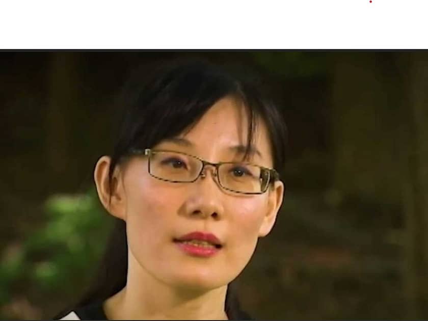 Li-Meng Yan, virologist