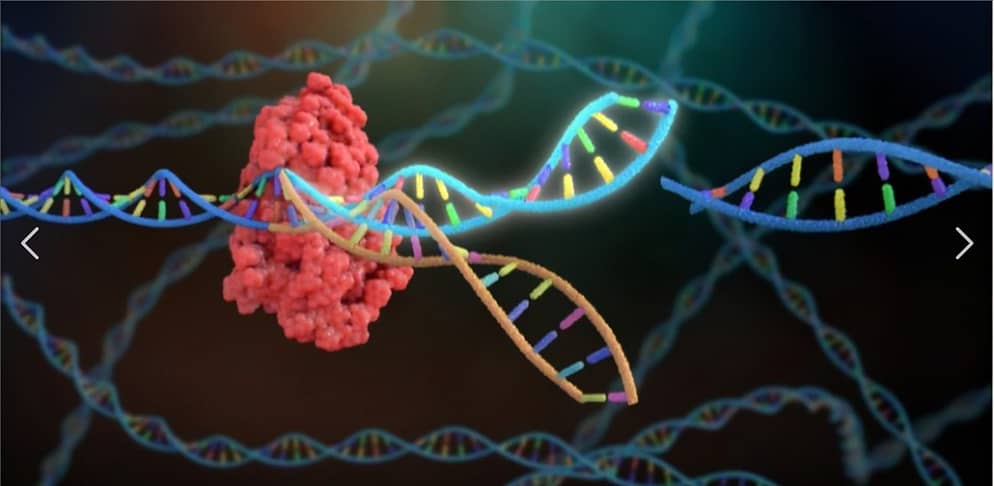 What is the Crispr technology